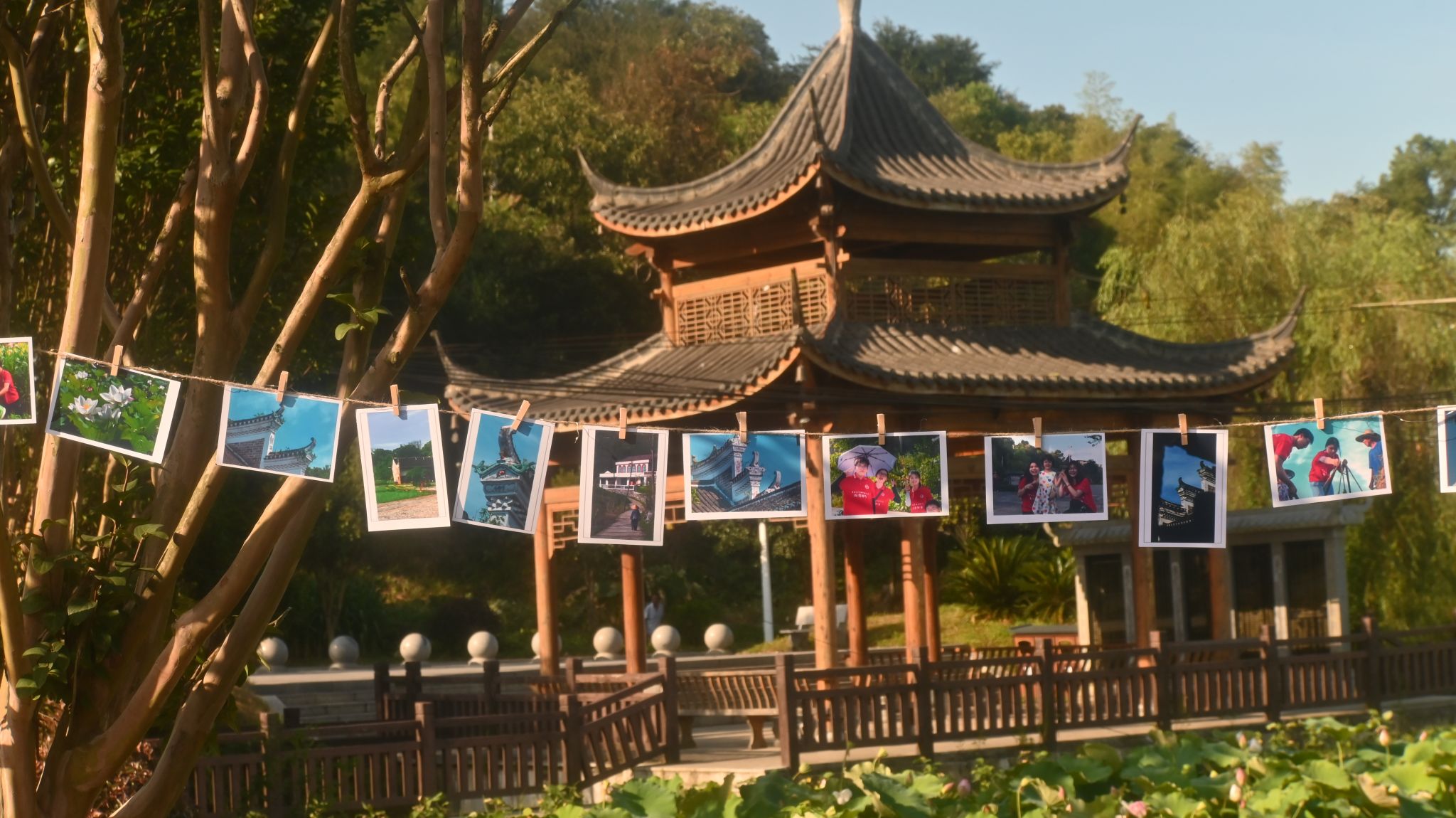 PA官方平台