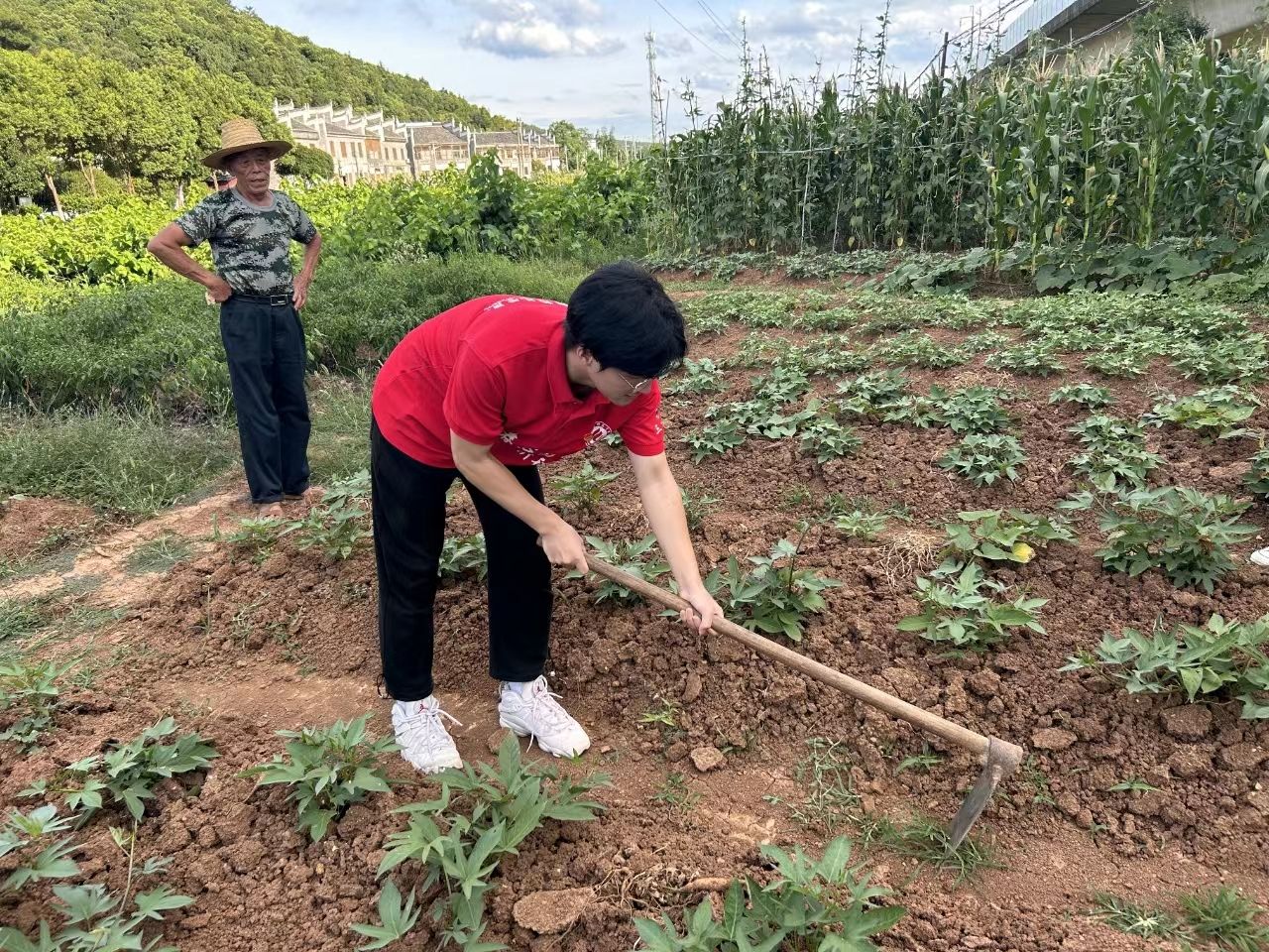 PA官方平台